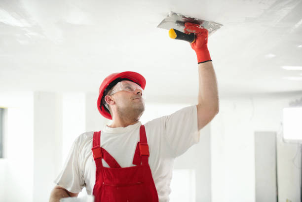 Best Eco-Friendly and Low-VOC Painting  in Hendersonville, NC